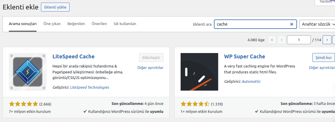 eklenti-yukleme-cache wordpress liteSpeed cache yukleme