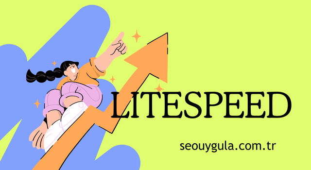 litespeed cache